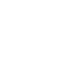 Grundlæggende services