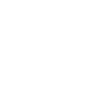 Dataintegrationsservices