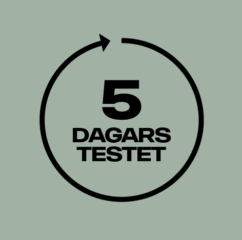 5-dagars test av ellastbil